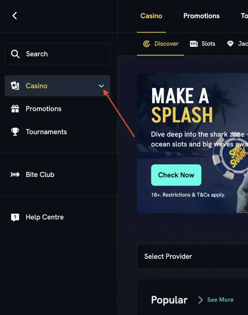 SpinShark How To Play Slots Step 1